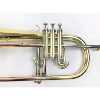 Flugelhorn DASONS FG8611G Laqueado Si Bemol